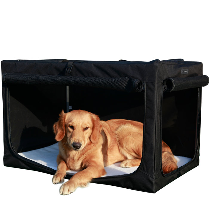 Tucker Murphy Pet™ Cozzi SoftSided Dog Crate & Reviews Wayfair